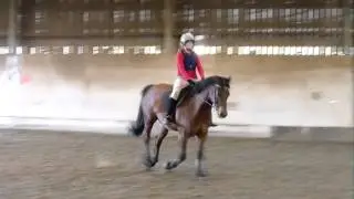 Flying Change!!!
