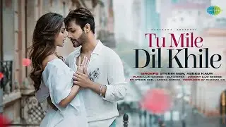 Tu Mile Dil Khile | Kumar Sanu | Alka Yagnik| Criminal |Nagarjuna |Manisha Koirala |Audio Song.