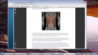 Chest Sculpting Blueprint - A Look Inside The Program