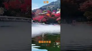 勝尾寺本堂　m&ugrave;a l&aacute; đỏ ở nhật #mualado