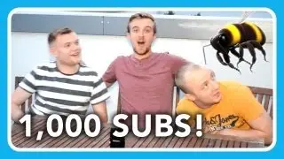1,000 Subs, New Videos & Killer Bee! - STREAMGASM VLOG #2