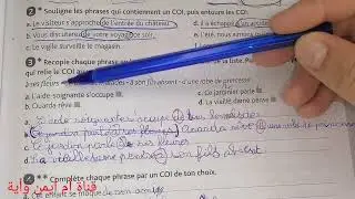 CE2 Grammaire 10 le complément d'objet indirect COI/exercices P. 45 (C. E)/Croque-feuille
