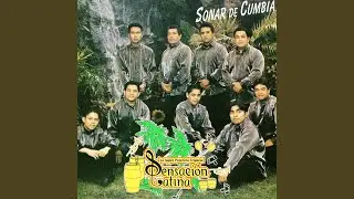 Oye la Rumba