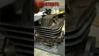 motorized bicycle Phantom 85 head chop 🪓