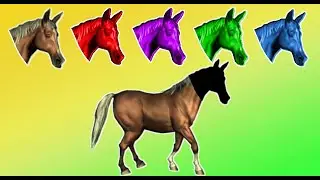 Menebak Gambar Kepala Kuda | Mencocokan Kepala Kuda | Wrong Head Horse ~ Kuda Lucu