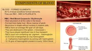 BODY FLUIDS AND CIRCULATION -1- FUNCTION OF CIRCULATORY SYSTEM-  COMPONENTS OF BLOOD- PLASMA | +1
