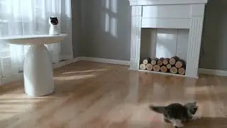 YVE LIFE Laser Cat Toys for Indoor Cats,The 4th Generation Real Random Trajectory Motion