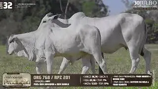 LOTE 32   ORG 768,RPZ 201