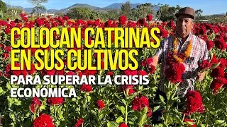 Sembradores de M&eacute;xico esperan que el D&iacute;a de Muertos les ayude a sobrevivir la sequ&iacute;a