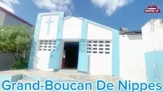 Grand-Boucan de Nippes