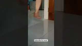 Cat Run 🏃 Status. Devil 😈 Cat Run. #shorts #cat #catvideo