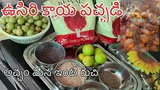 Usiri Kaya Pachadi 😍 | Telangana Style Pulaga Karamga | అచ్చం మనింటి రుచి 🌶️ #traditional #food 