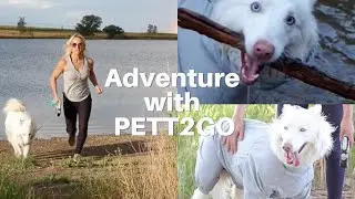 Adventure with PETT2GO: Enjoy the Outdoors with Your Siberian Husky in Any Weather