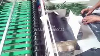 Poly PE plastic dhl courier express mail bag making machine price