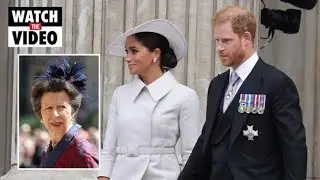 Princess Anne predicted Meghan Markle&rsquo;s &lsquo;very short shelf-life&rsquo; in royal family