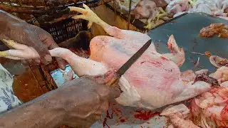Creative Chicken Cutting Skills | Expert Chicken Cutting Skills | Cutting BD