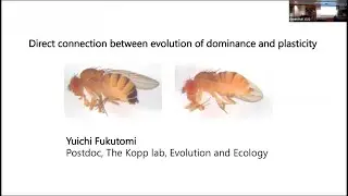 CPB Seminar: Yuichi Fukutomi