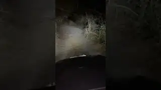 Creepy Monster Caught On Camera | Horror Ghost Video #horrorclip #realmonster #shorts