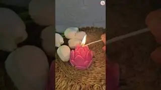 Lotus 🪷 Candle🕯️ ll #diy #viralvideo #shreyascandle #shorts #candlemaking #candle