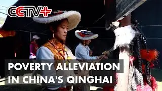Northwestern Chinese Village Gets Rid of Poverty Through Relocation, Distinctive Industries