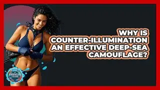 Why Is Counter-illumination An Effective Deep-sea Camouflage? - The Marine Life Explorer