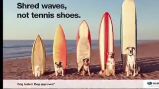 cursos vacacionales  2017 PLAYA DE CHUYUIPE