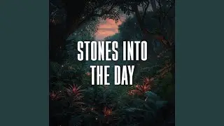 stones into the day