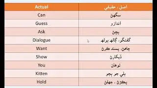 Basic English Vocabulary  Words  With Sindhi Meaning | English to Sindhi | Sindhi to English | MOK
