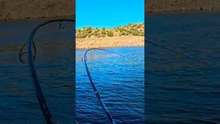 👆🏻v&iacute;deo completo #fishingbloggers #vlogfishing #fishingbloggers #videospescando