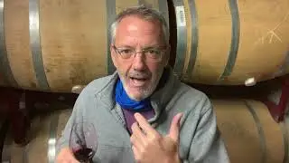 Steven Kent Mirassou talks...Amplitude in Wine