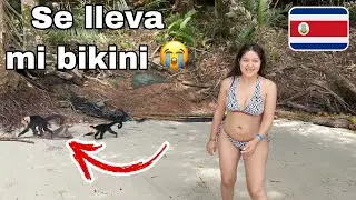 Llegaron monos 🐒 ladrones a la playa mientras me bañaba | Celinaz El Salvador