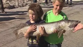 Fishing Joe's Valley Reservoir - Emery County, UT