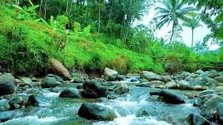 Serene River Flow &ndash; Nature Therapy for Stress Relief & Sleep Enhancement