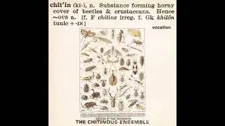 The Chitinous Ensemble - Mushroom Dance