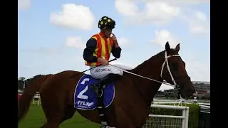 T J Smith Stakes 2021 || Nature Strip ||