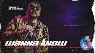 Free Sean Paul Type Beat 