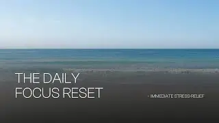 The Daily Focus Reset | immediate stress-relief