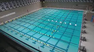 Gustavus Swim & Dive Gustie Challenge vs. Saint John's, Saint Benedict, MSU-Mankato (Day 2)