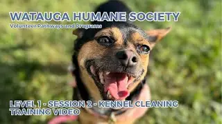 Level 1 - Session 2 | Full Kennel Clean | WHS Training Video