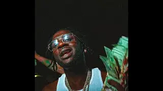 [FREE] Chicken P Type Beat ~ 