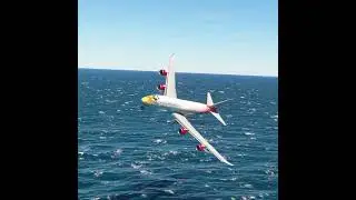 the pilot's actions endangered the plane's passengers EP262