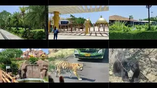 GOREWADA  INTERNATIONAL ZOO VLOG 🐯🐆🐻🦌🦚