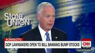 Ron Johnson's State of the Union interview (full)