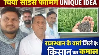 👉 पहली बार चिया सीड्स की खेती में धमाल | बिना सिंचाई उगी औषधीय फसल | Chia Seeds Farming 