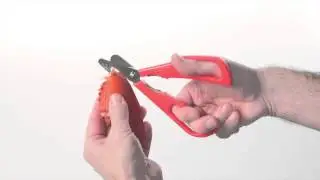 Starfrit 92031 Seafood Scissors EN