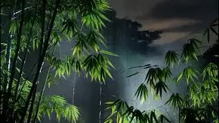 Rain on Bamboo Forest House ASMR &ndash; No Music, Deep Sleep Rain Sounds for Insomnia
