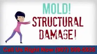 Water Damage Restoration Dillon CO 80435