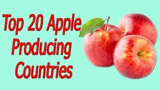 Top 20 Apple Producing Countries