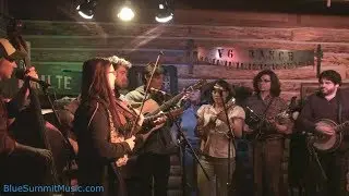 AJ Lee & Blue Summit, and Friends - 