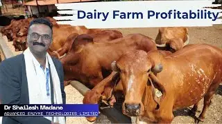 Importance of Animal Health in Dairy Profitability